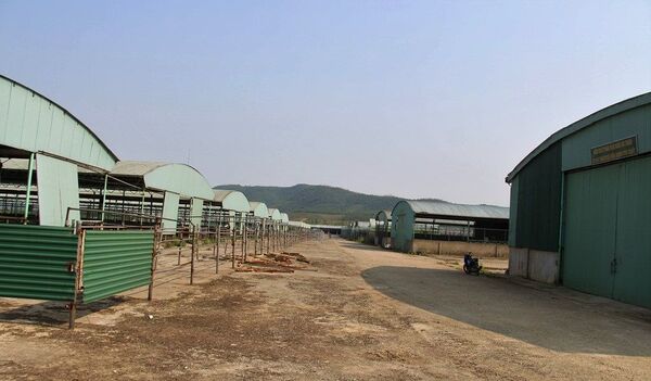 Cảnh tan hoang tại dự án chăn nuôi bà ở Hà Tĩnh Cảnh tan hoang tại dự án chăn nuôi bà ở Hà Tĩnh - Sputnik Việt Nam