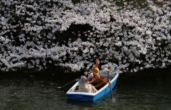 Các cô gái chụp ảnh tự sướng trên thuyền với hoa anh đào ở Tokyo - Sputnik Việt Nam