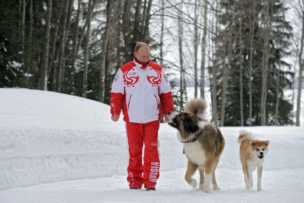 Tổng thống Nga Vladimir Putin dắt hai con chó Buffy và Yume đi dạo ở ngoại ô Moskva - Sputnik Việt Nam