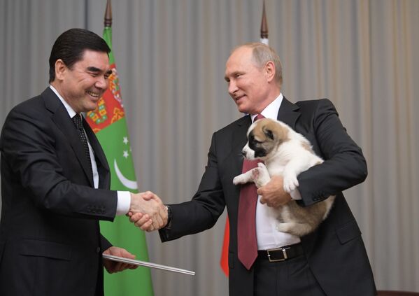 Tổng thống Nga Vladimir Putin với chú chó con nòi Alabai, tên là Vernyi (Trung thành), do Tổng thống Turkmen Gurbanguly Berdimuhamedov tặng. - Sputnik Việt Nam