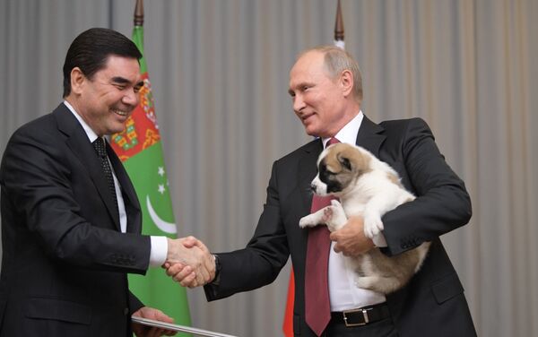 Tổng thống Nga Vladimir Putin với chú chó con nòi Alabai, tên là Vernyi (Trung thành), do Tổng thống Turkmen Gurbanguly Berdimuhamedov tặng. - Sputnik Việt Nam