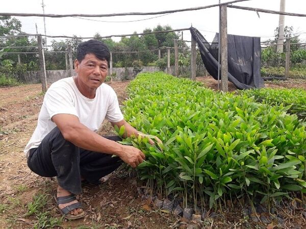 Trại bò nghìn tỷ khiến cha con Trần Bắc Hà bị bắt, dân ào vào chiếm đất Trại bò nghìn tỷ khiến cha con Trần Bắc Hà bị bắt, dân ào vào chiếm đất - Sputnik Việt Nam