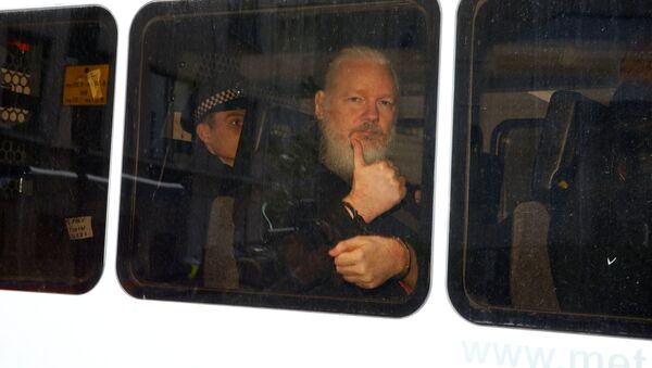  Julian Assange  - Sputnik Việt Nam