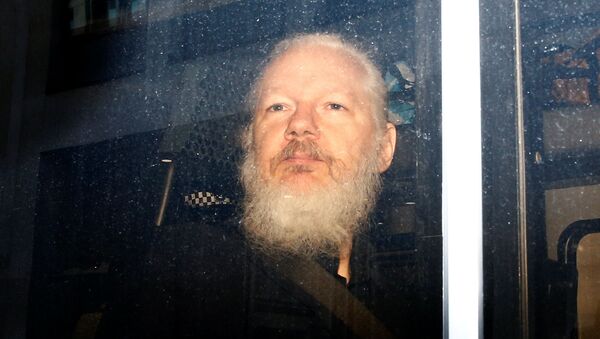  Julian Assange - Sputnik Việt Nam