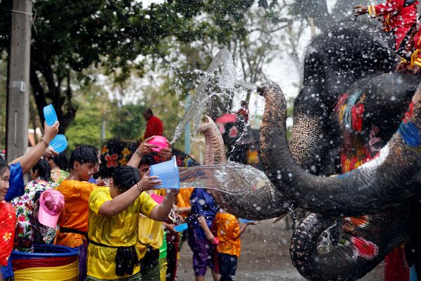 Người và voi tưới nước trong lễ mừng năm mới của người Thái - Sputnik Việt Nam