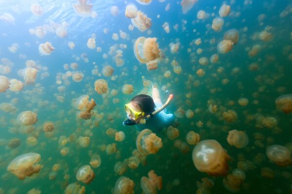 Cô gái đang lặn ở Hồ Medusa trong quần đảo Rocky, Palau. - Sputnik Việt Nam