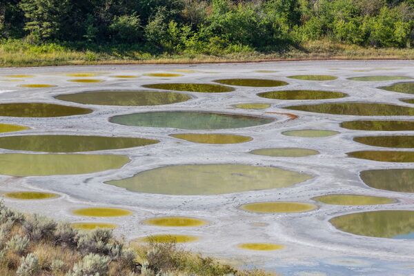 Spotted Lake hay còn gọi là Hồ Đốm, Canada - Sputnik Việt Nam