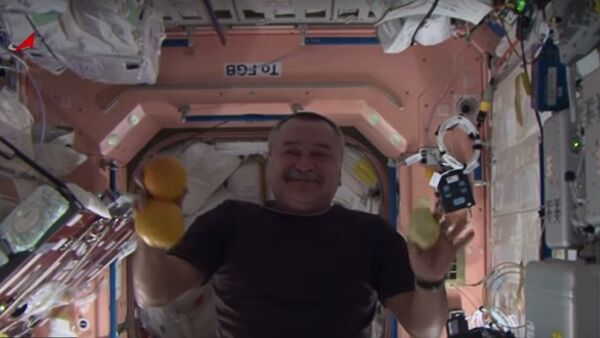 Phi hành đoàn ISS chia sẻ những khoảnh khắc giải lao trên quỹ đạo - Sputnik Việt Nam