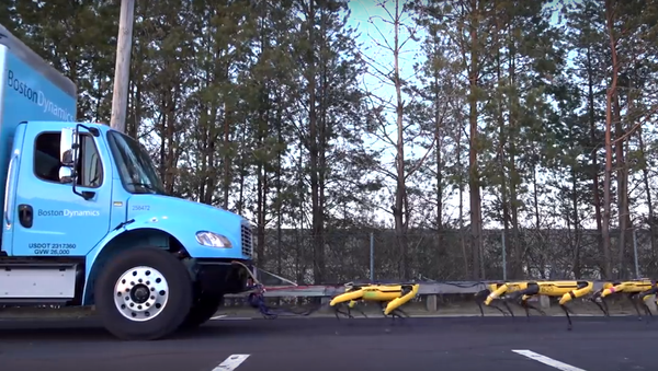 Video: Mười chú chó robot kéo chiếc xe tải - Sputnik Việt Nam