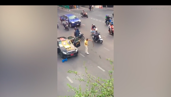 Người nước ngoài thả cả bao rắn độc ở trung tâm Bangkok (Video) - Sputnik Việt Nam