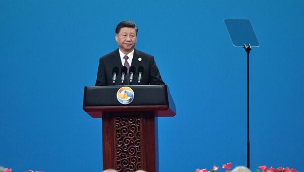 Chủ tịch Trung Quốc Tập Cận Bình phát biểu khai mạc Diễn đàn cấp cao Hợp tác quốc tế Vành đai và Con đường lần thứ hai - Sputnik Việt Nam