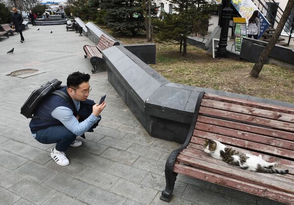 Du khách chụp ảnh con mèo trên phố Đô đốc Fokin ở Vladivostok - Sputnik Việt Nam