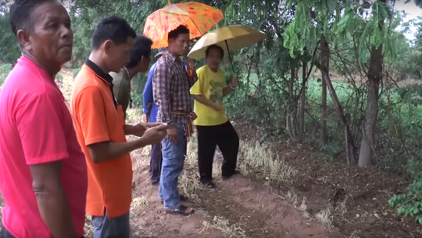 Chú chó Thái Lan cứu em bé bị chôn sống - Sputnik Việt Nam