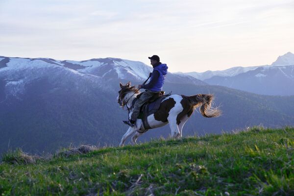 Thanh tra Khu dự trữ sinh quyển tự nhiên quốc gia Kavkaz mang tên Kh. G. Shaposhnikov trên lưng ngựa - Sputnik Việt Nam