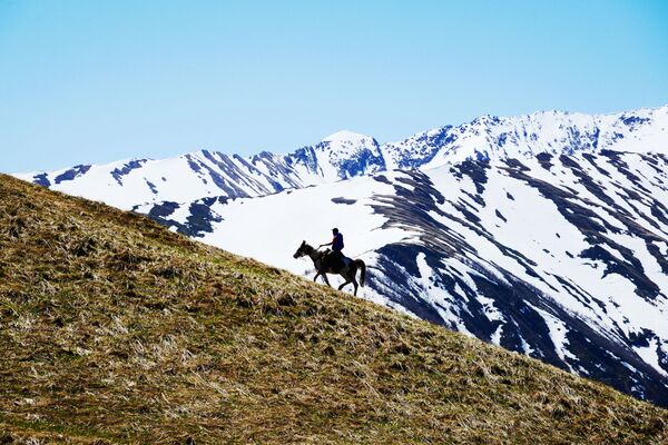 Cưỡi ngựa trên lãnh thổ phía Bắc Khu bảo tồn sinh quyển tự nhiên quốc gia Kavkas mang tên Kh. G. Shaposhnikov  - Sputnik Việt Nam