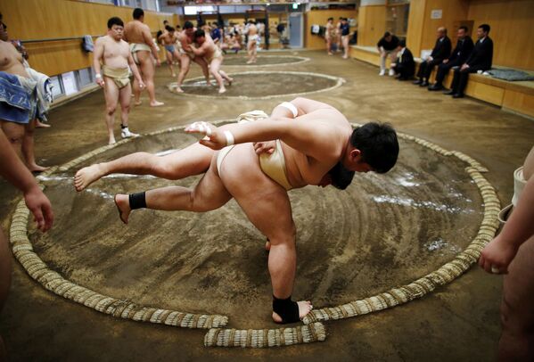 Sinh viên tập luyện trong một câu lạc bộ sumo tại Đại học Khoa học Thể thao Nippon ở Tokyo - Sputnik Việt Nam
