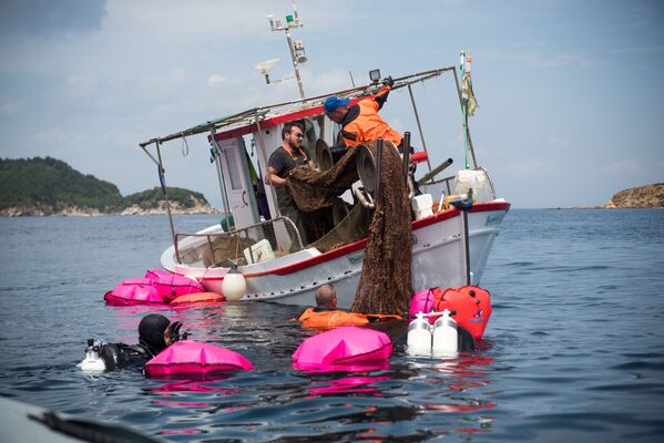 Kéo lưới đánh cá lên trên mặt nước ở Hy Lạp - Sputnik Việt Nam
