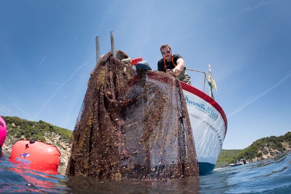 Làm sạch biển khỏi đám lưới đánh cá ở Hy Lạp - Sputnik Việt Nam