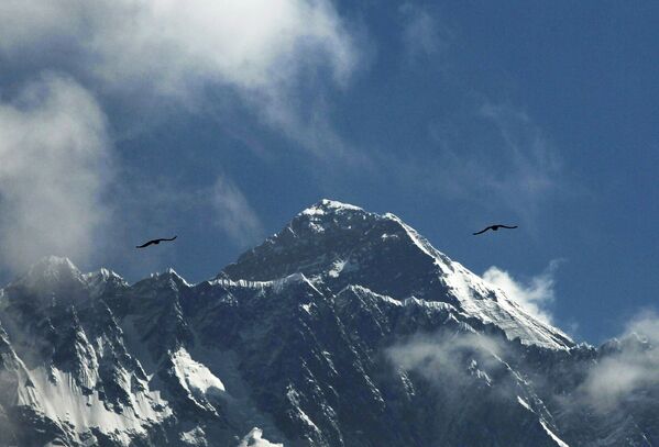 Những con chim trên đỉnh Everest - Sputnik Việt Nam