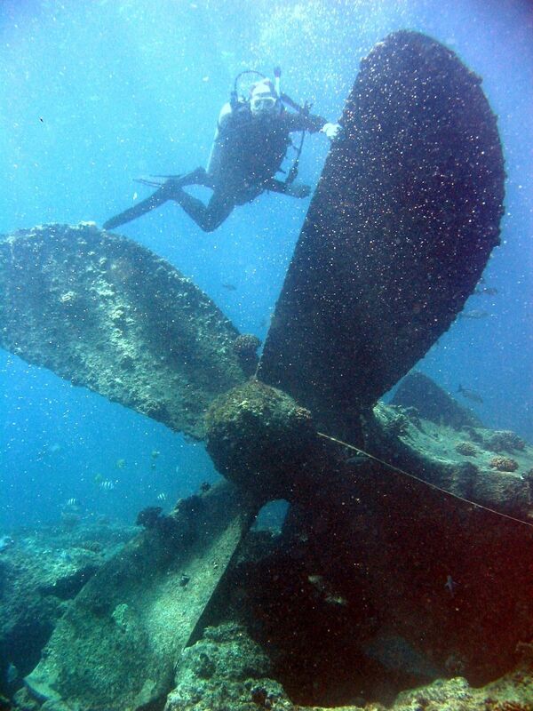 Thợ lặn trong chuyến lặn xuống  con tàu bị chìm, Pearl and Hermes, Hawaii - Sputnik Việt Nam