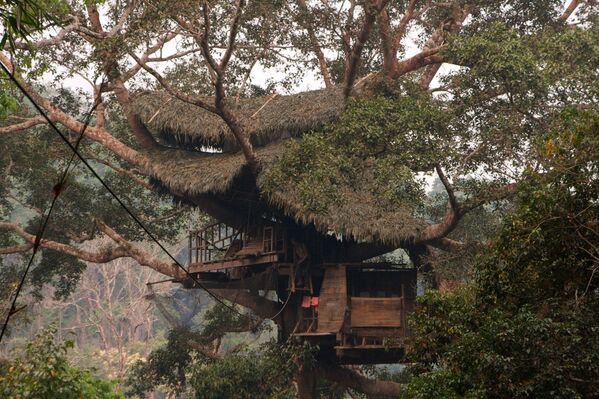 Nhà trên cây trong rừng nhiều vượn ở Lào - Sputnik Việt Nam