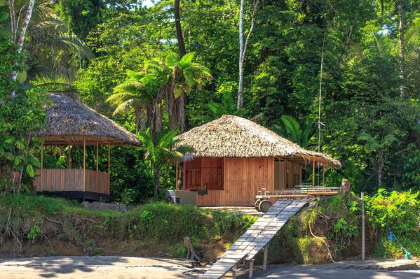 La Selva Lodge trên sông Napo ở Ecuador - Sputnik Việt Nam