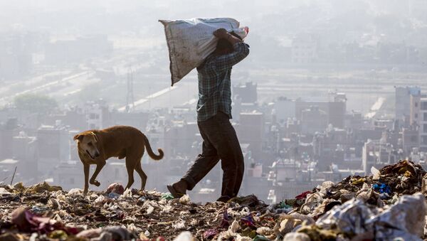 Người đàn ông chọn rác để tái chế ở New Delhi, Ấn Độ - Sputnik Việt Nam