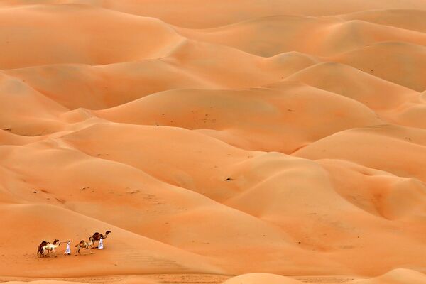 Những người đàn ông dắt lạc đà đi qua sa mạc Hamim, Abu Dhabi, UAE - Sputnik Việt Nam