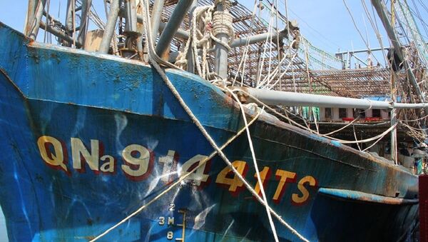  Tàu của ngư dân Quảng Nam bị tàu Trung Quốc cướp trắng trợn 2 tấn mực.  - Sputnik Việt Nam