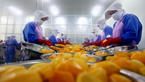 Dây chuyền chế biến, sơ chế hoa quả xuất khẩu tại Tổ hợp sản xuất và chế biến hoa quả xuất khẩu của Nafoods.  - Sputnik Việt Nam