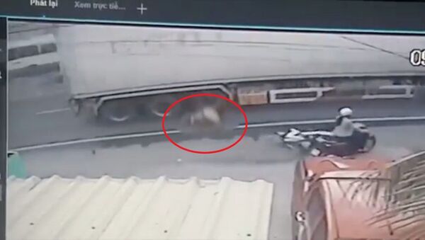 Giây phút container cán chiến sỹ CSGT tử vong rồi bỏ chạy - Sputnik Việt Nam