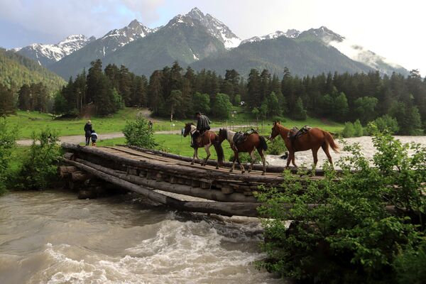 Người kỵ mã đưa đàn ngựa qua cầu gỗ bắc qua suối trong Thung lũng Sofia thuộc Cộng hòa Karachay-Cherkessia - Sputnik Việt Nam