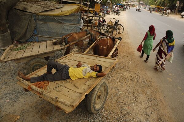 Người đàn ông ngủ  trên chiếc xe ngựa trong đợt nắng nóng, Ấn Độ - Sputnik Việt Nam