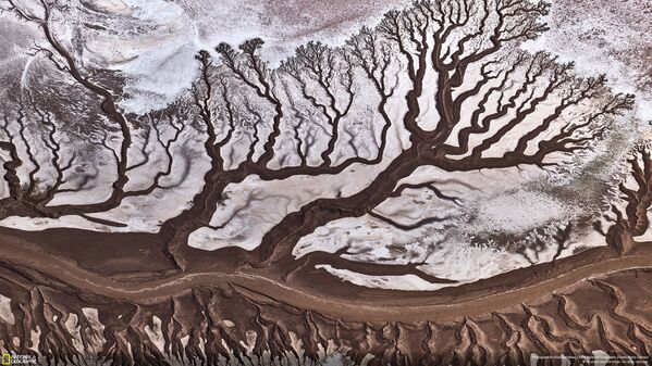 Ảnh Colorado River của nhiếp ảnh gia Stas Bartnikas, giành giải thưởng khán giả trong hạng mục «Thiên nhiên» của cuộc thi National Geographic Travel Photo 2019 - Sputnik Việt Nam