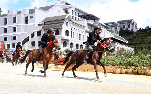 Lào Cai: Giải đua ngựa Fansipan Vó ngựa trên mây 2019  - Sputnik Việt Nam