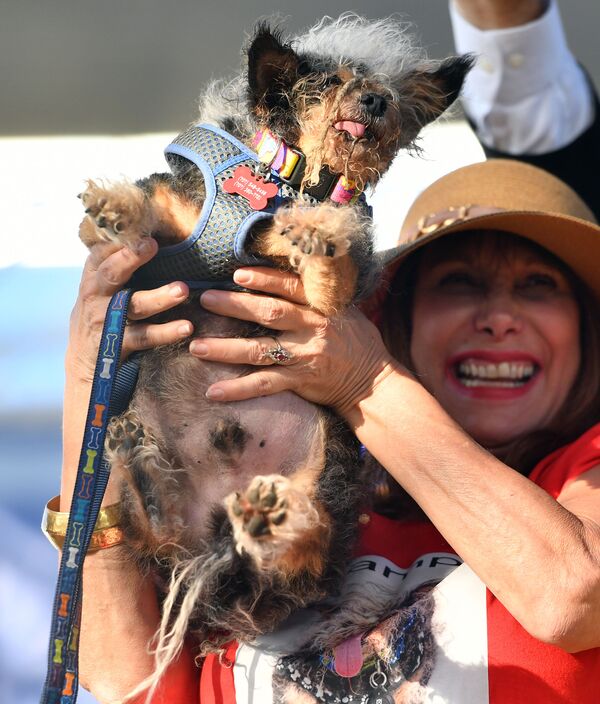 Chú chó với biệt hiệu Scamp the Tramp chiến thắng trong cuộc thi Chó xấu xí nhất của năm, Mỹ - Sputnik Việt Nam