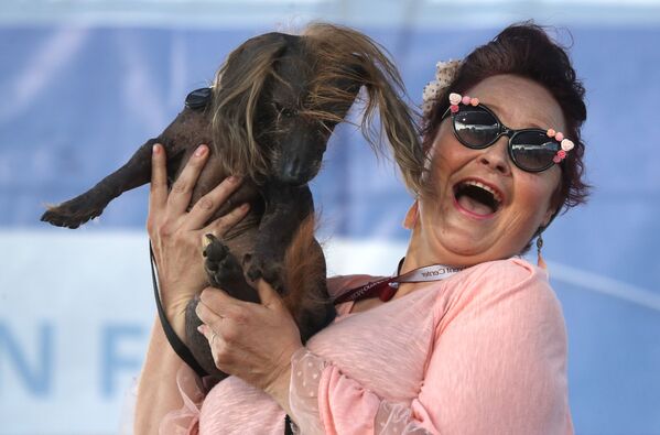 Chú chó với biệt hiệu Himisaboo tham gia cuộc thi Chó xấu xí nhất của năm, Mỹ - Sputnik Việt Nam