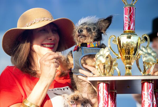 Chú chó với biệt hiệu Scamp the Tramp chiến thắng trong cuộc thi Chó xấu xí nhất của năm, Mỹ - Sputnik Việt Nam