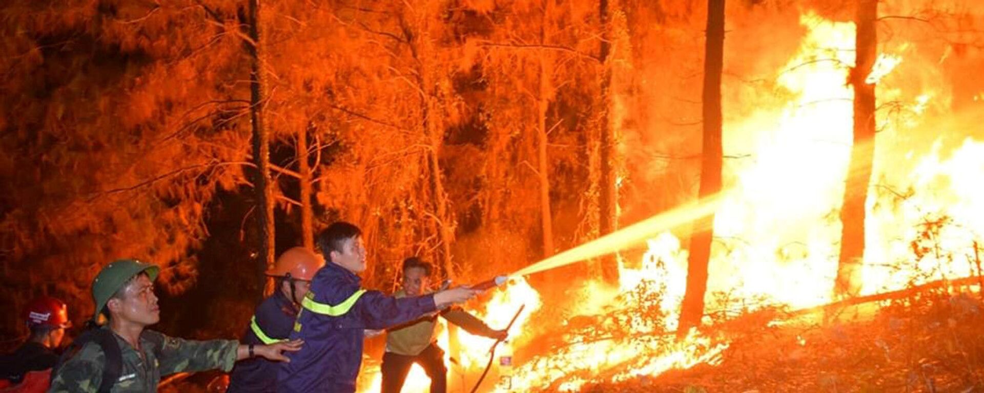 Cháy rừng xảy ra trong đêm ở Hà Tĩnh - Sputnik Việt Nam, 1920, 01.07.2019