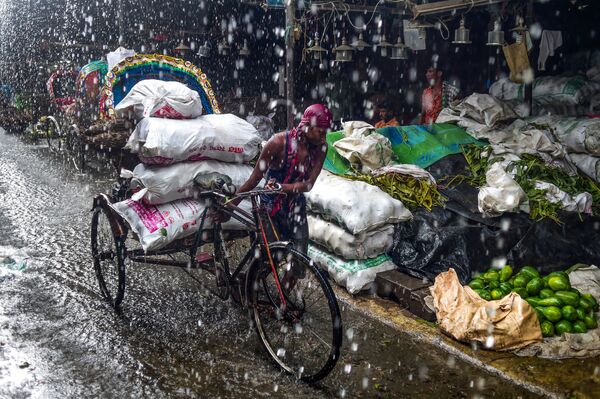 Xích lô trong cơn mưa ở Dhaka, Bangladesh - Sputnik Việt Nam