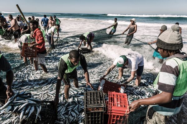 Người dân địa phương bắt cá trên bãi biển Amanzimtoti, Nam Phi - Sputnik Việt Nam