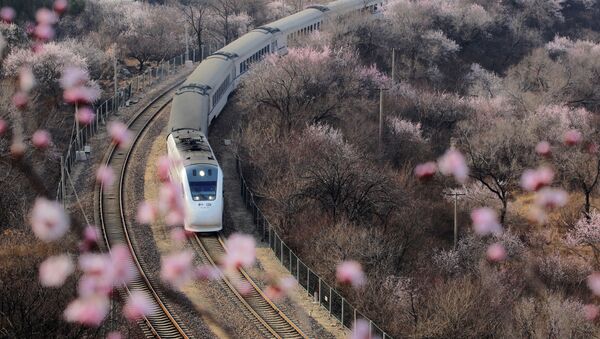 Tàu cao tốc đi ngang qua những rặng hoa ở Vạn Lý Trường Thành, Bắc Kinh - Sputnik Việt Nam