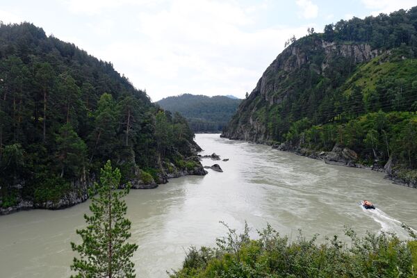 Sông Katun ở huyện Chemalsky, Cộng hòa Altai - Sputnik Việt Nam