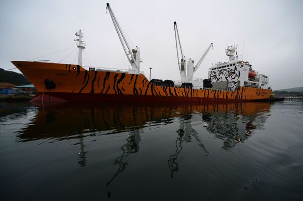Tàu ướp lạnh vận chuyển “Symphonya”  tại cảng làng Yuznyi-Morsky vùng Primorye. - Sputnik Việt Nam