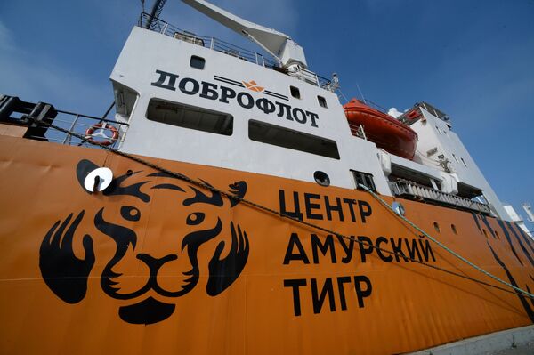 Tàu ướp lạnh vận chuyển “Symphonya”  tại cảng làng Yuznyi-Morsky vùng Primorye. - Sputnik Việt Nam