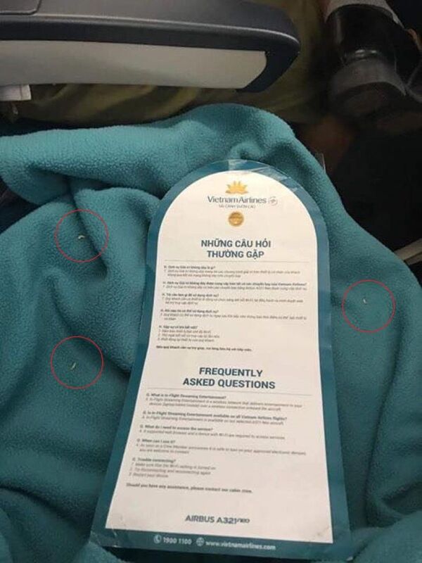 Vietnam Airlines lên tiếng về vụ việc có giòi trong chăn trên chuyến bay Vietnam Airlines lên tiếng về vụ việc có giòi trong chăn trên chuyến bay - Sputnik Việt Nam