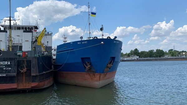 Tàu chở dầu Nika Spirit của Nga tại cảng Izmail ở tỉnh Odessa - Sputnik Việt Nam