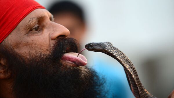 Người Ấn Độ trong buổi biểu diễn đường phố với con rắn trên bờ sông Hằng, tại thành phố Allahabad - Sputnik Việt Nam