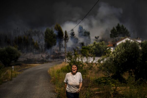 Người phụ nữ gào thét trong cảnh cháy rừng lan sang nhà dân ở làng Casas da Ribeira, Bồ Đào Nha - Sputnik Việt Nam