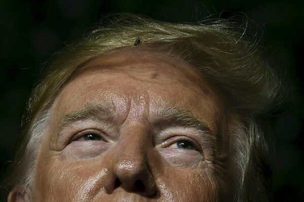 Con ruồi «dạo chơi» trên tóc Tổng thống Mỹ Donald Trump khi ông diễn thuyết tại Jamestown, bang Virginia - Sputnik Việt Nam